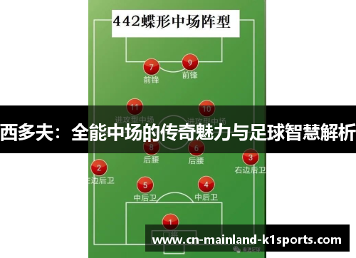 西多夫：全能中场的传奇魅力与足球智慧解析