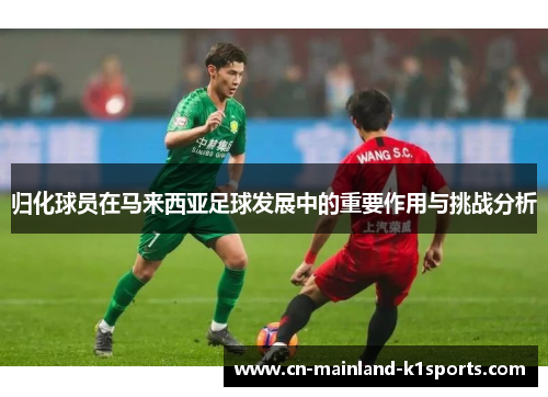 归化球员在马来西亚足球发展中的重要作用与挑战分析