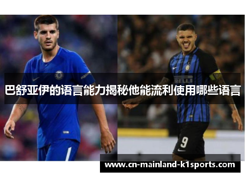 巴舒亚伊的语言能力揭秘他能流利使用哪些语言