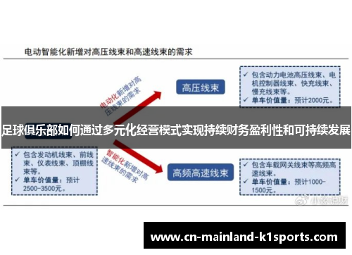 足球俱乐部如何通过多元化经营模式实现持续财务盈利性和可持续发展 足球俱乐部如何通过多元化经营模式实现持续财务盈利性和可持续发展