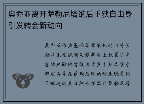 奥乔亚离开萨勒尼塔纳后重获自由身引发转会新动向